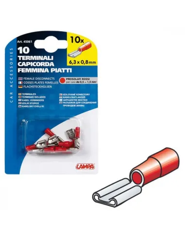 LAM45061