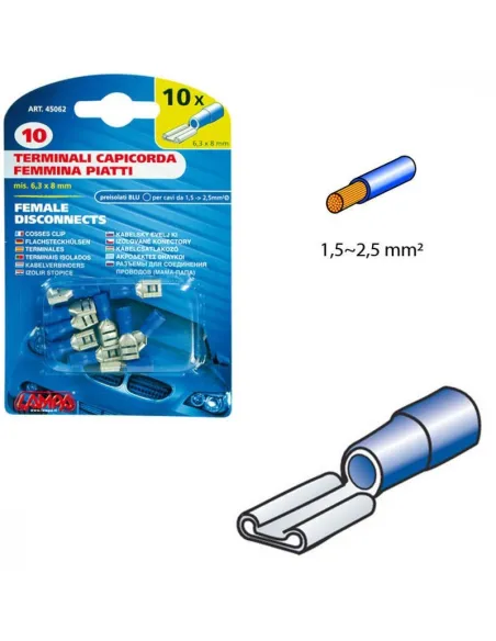LAM45062
