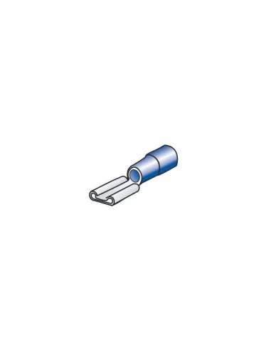 LAM45062