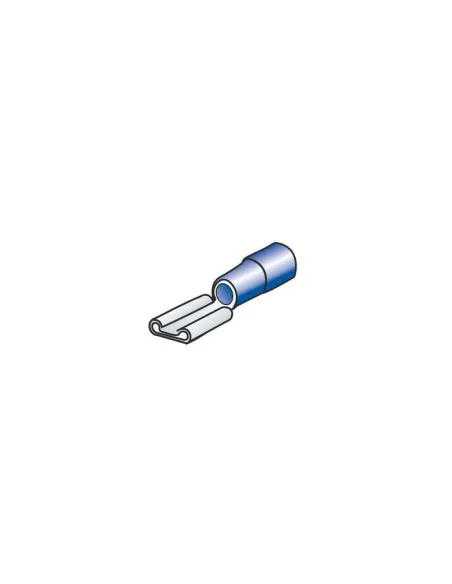 LAM45062