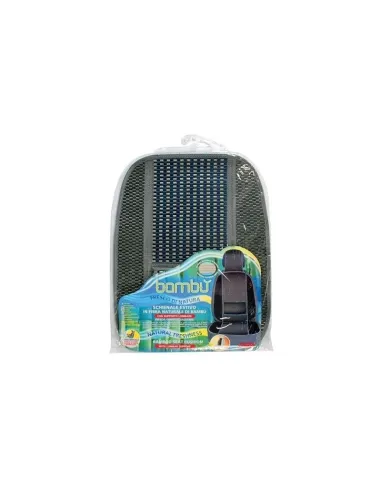 LAM54356