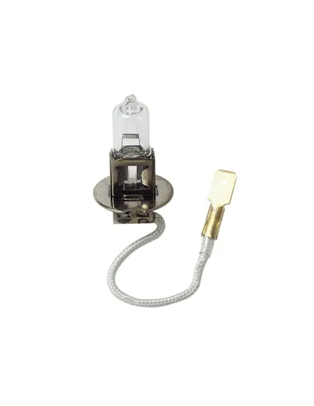 LAM58030