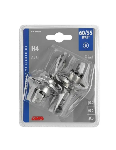 LAM58043