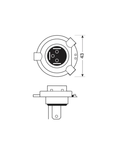 LAM58044