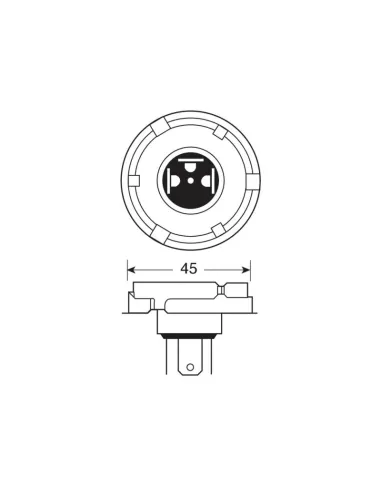 LAM58050