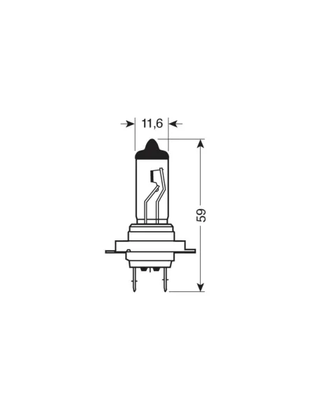LAM58052