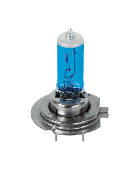 LAM58186