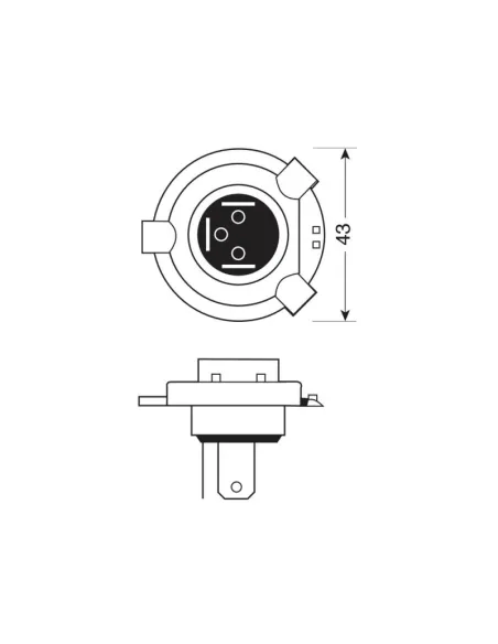 LAM58194