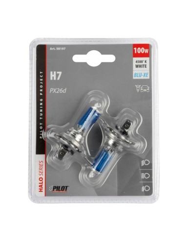 LAM58197