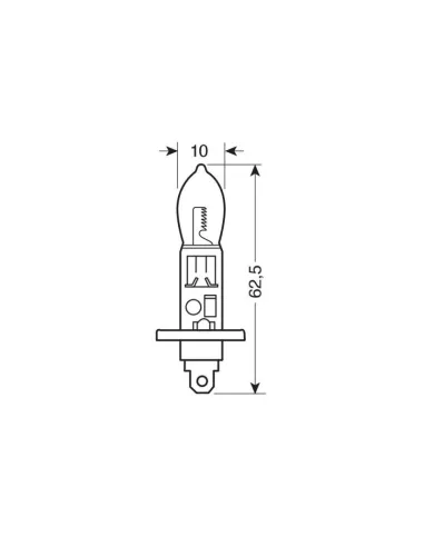 LAM58250
