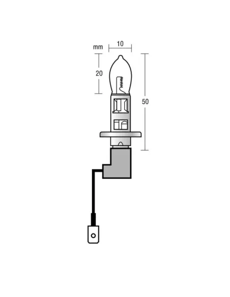 LAM58250