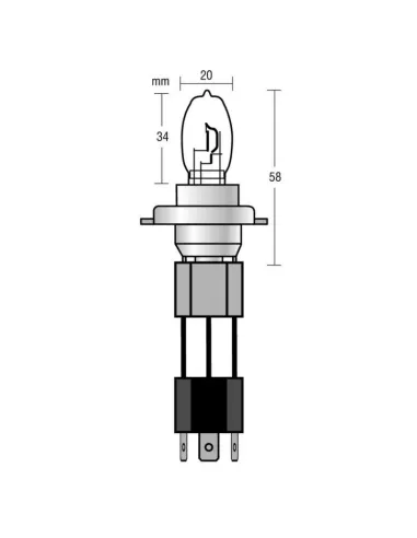 LAM58251