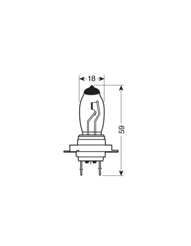 LAM58252
