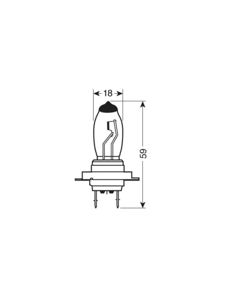 LAM58252