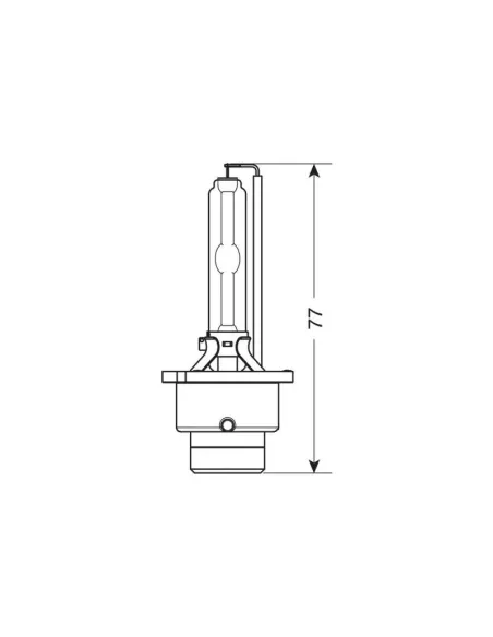 LAM58258