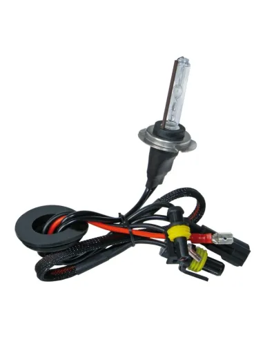 Lampara H7  Hid Xenon 12/24V Homologacion E13...
