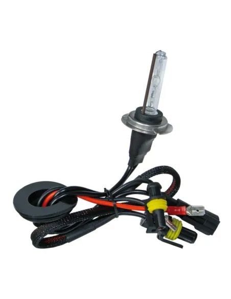 Lampara H7  Hid Xenon 12/24V Homologacion E13 (Blister 1 Unidad)