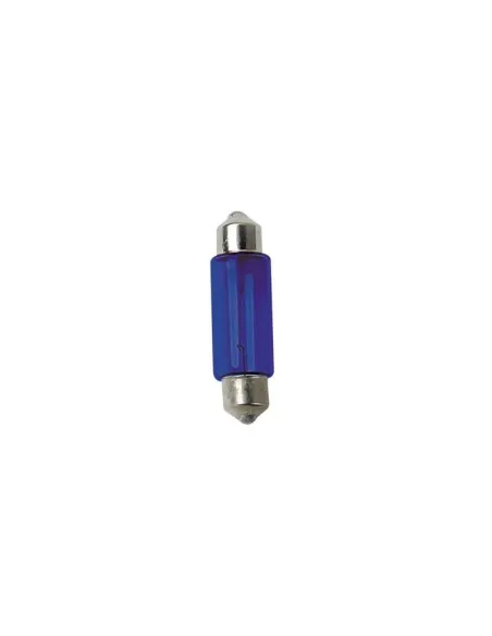 LAM58340