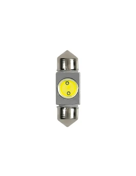 LAM58447