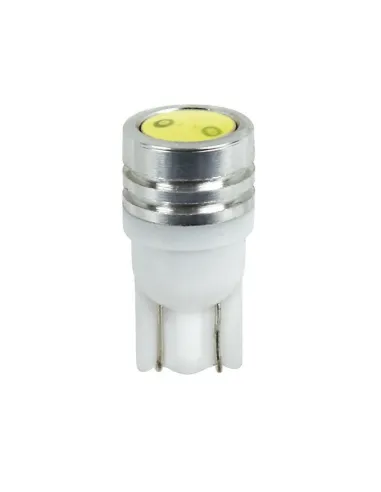 LAM58453