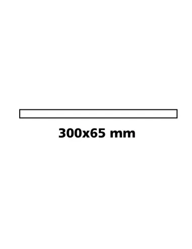 LAM65513