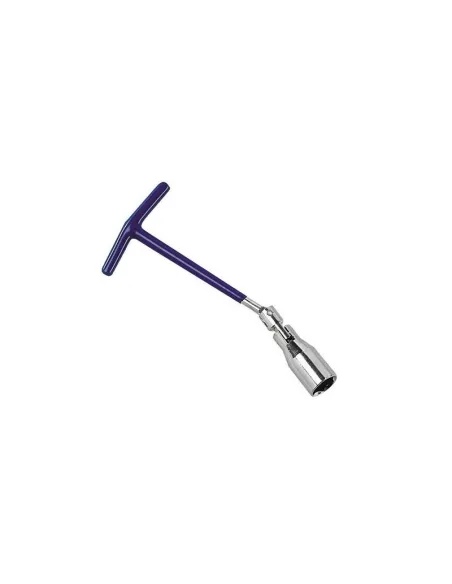 LAM65880