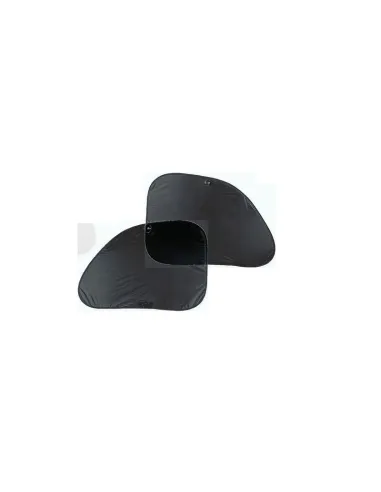 LAM66916