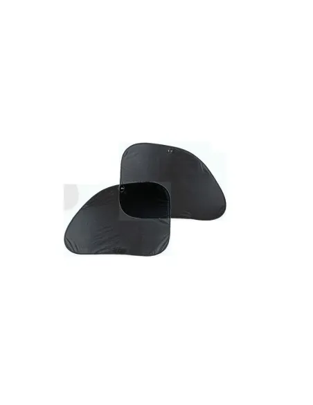 LAM66916