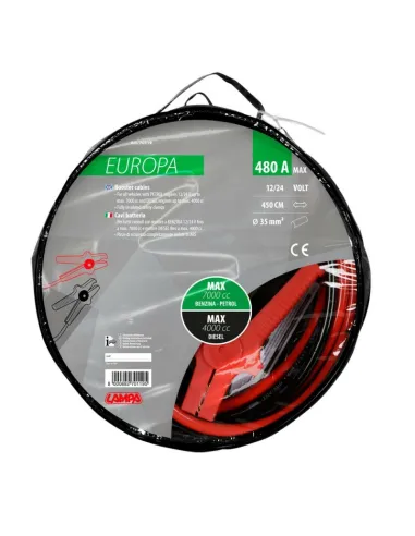 LAM70119