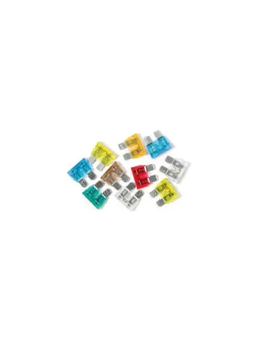 LAM70188