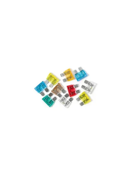 LAM70188