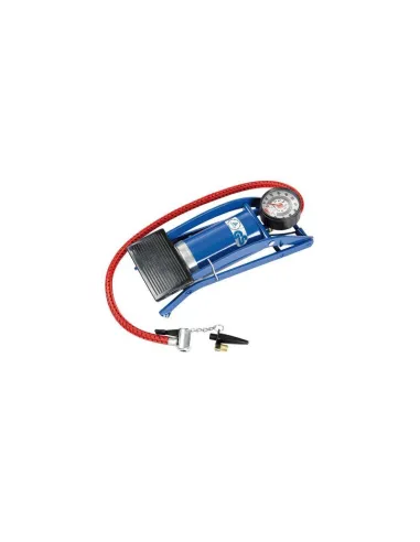 LAM71600