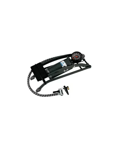 LAM71605