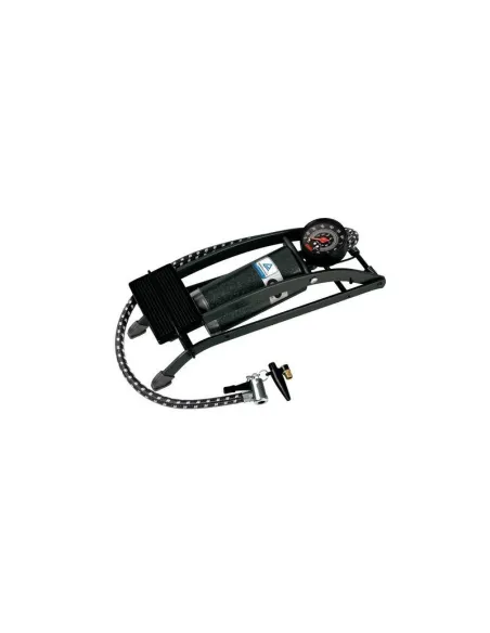LAM71605