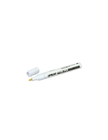 LAM74101