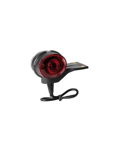 LAM97900