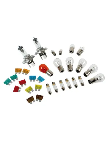 Estuche Lamparas H4 24V (30 Piezas)