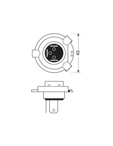 LAM98283