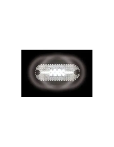 LAM98385