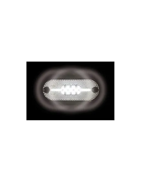 LAM98385