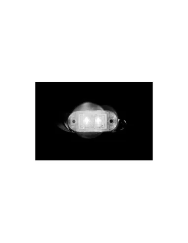 LAM98436