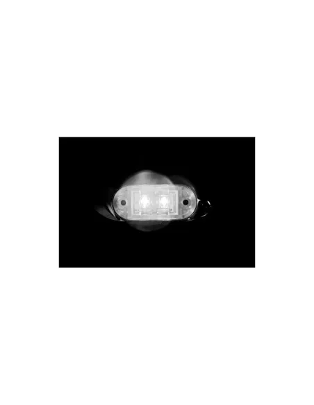 LAM98436