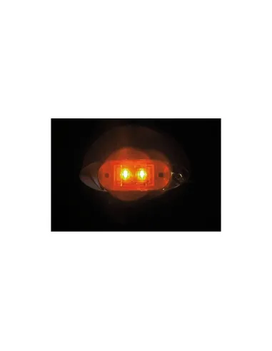 LAM98480