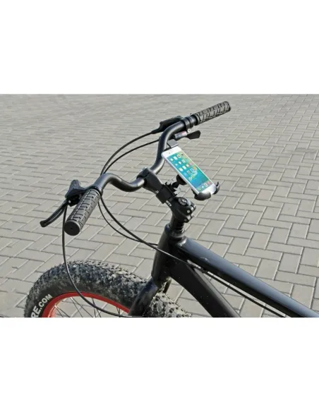 LAM72537