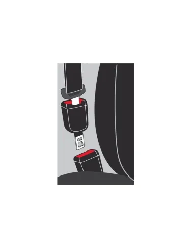 Alargador Cinturon Seguridad Zitto