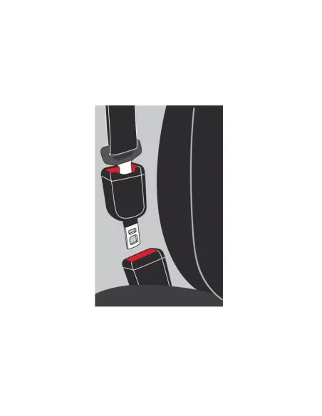 Alargador Cinturon Seguridad Zitto