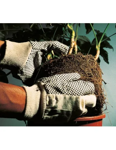 Kit Junta Homocinetica Spi