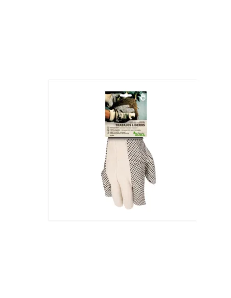 12019