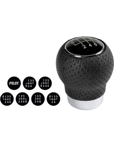 LAM00247