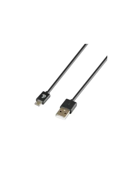 LAM38806